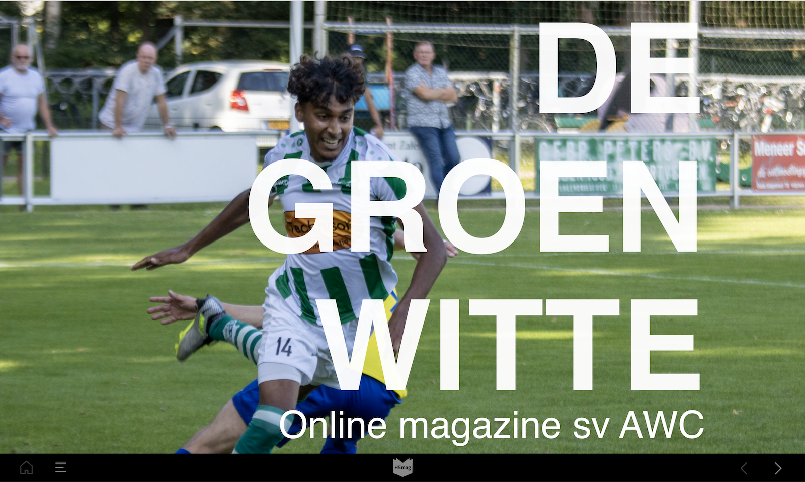 Screenshot van de voorpagina van De Groen Witte